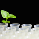 Illustration for article titled Scientists Use Graphene to Make Bionic, Super-Powered Plants